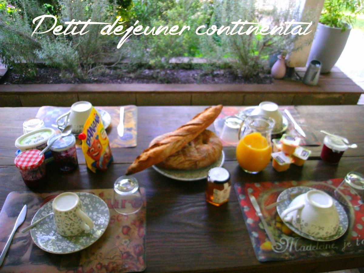 Le Bord De L'Eau Bed & Breakfast Sainte-Terre Exterior photo